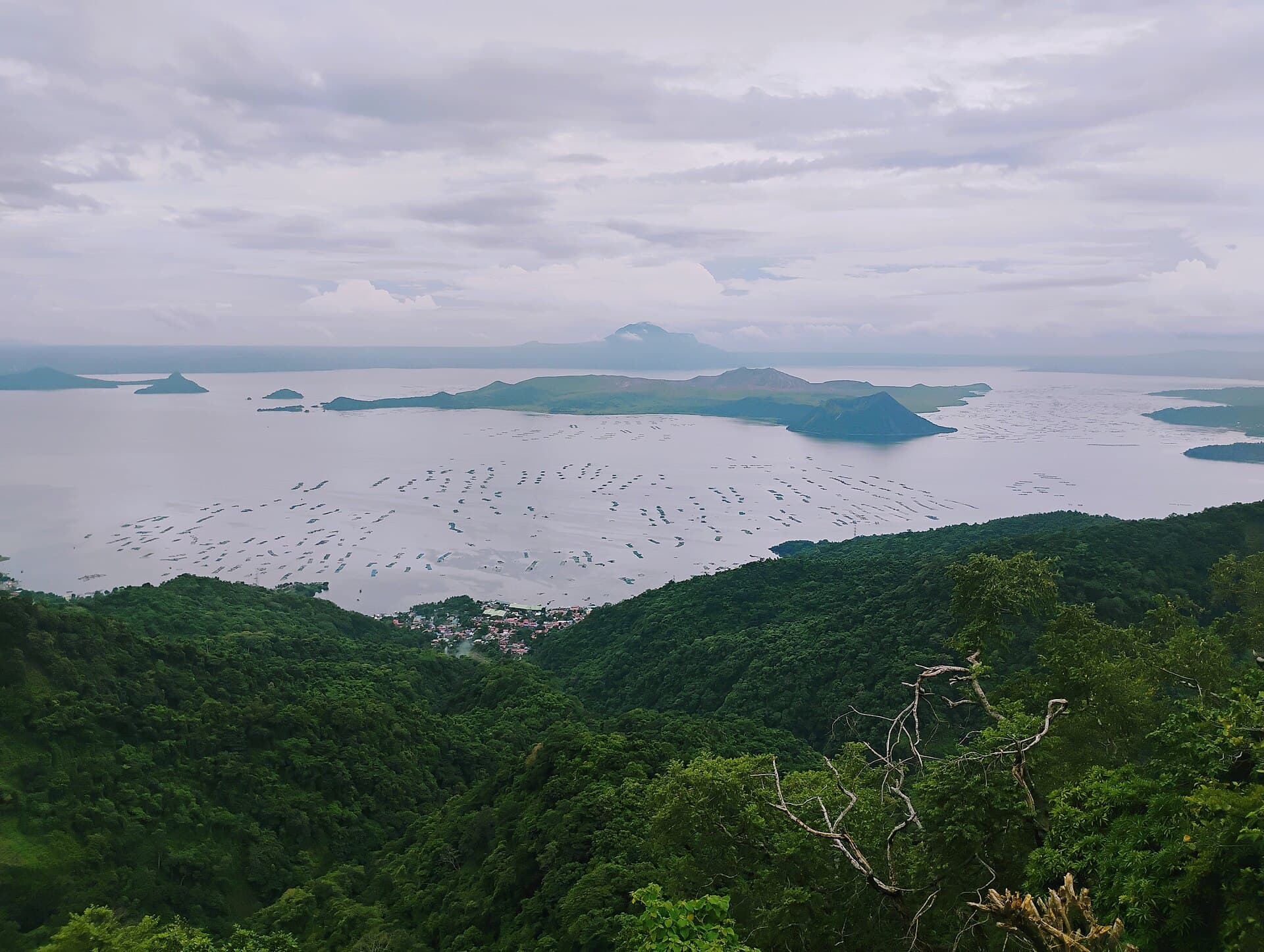 Taal Lake and the volcano, seen from the forested ridge above Tagaytay, with fish pens on the water.